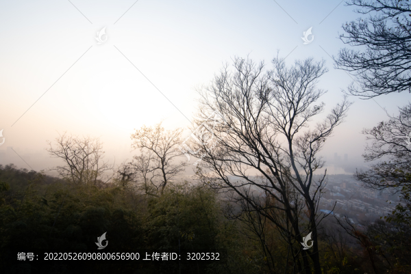 南京紫金山
