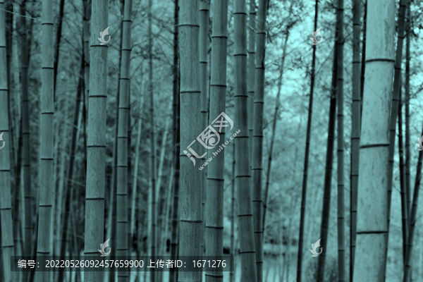 竹節(jié)