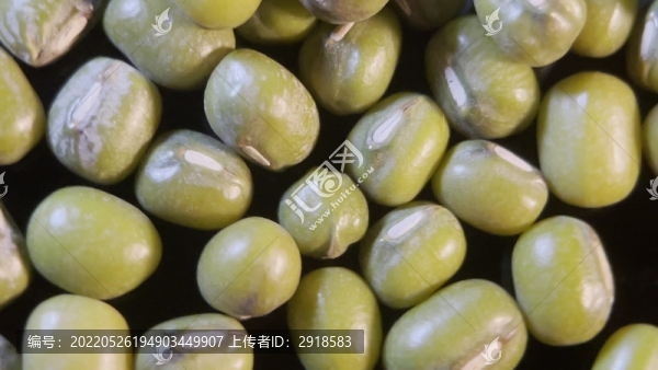 微距綠豆去暑中暑雜糧