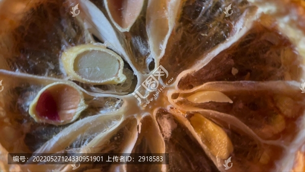 微距4k干檸檬片