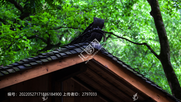 重慶金剛碑
