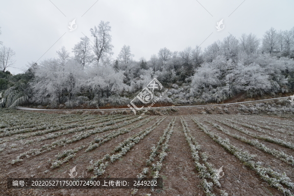 冬日中的云臺山