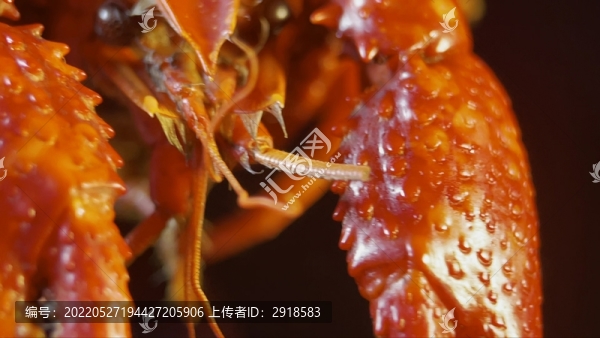 盱眙小龍蝦小海鮮大排檔