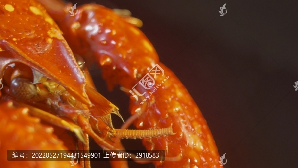 盱眙小龍蝦小海鮮大排檔