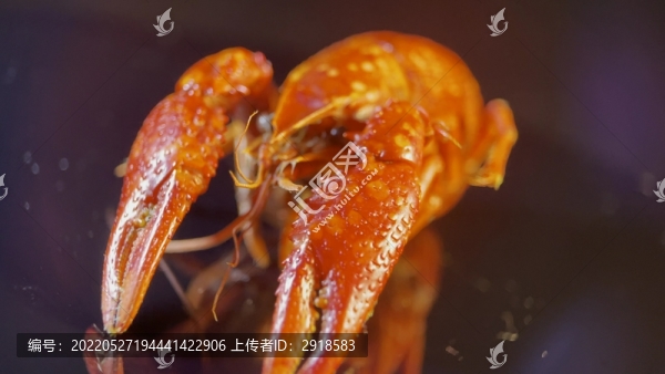 盱眙小龍蝦小海鮮大排檔