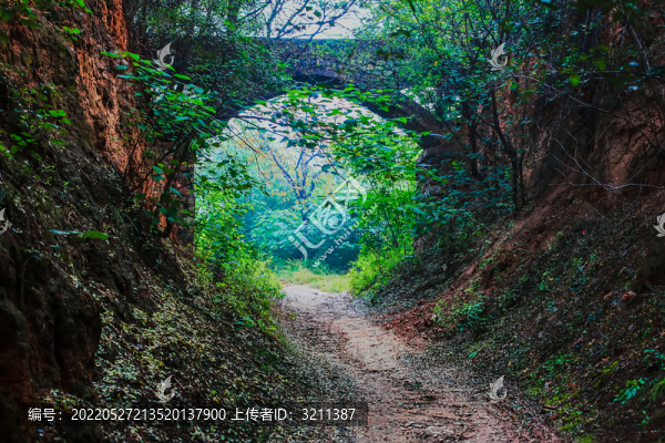 農(nóng)村老橋洞