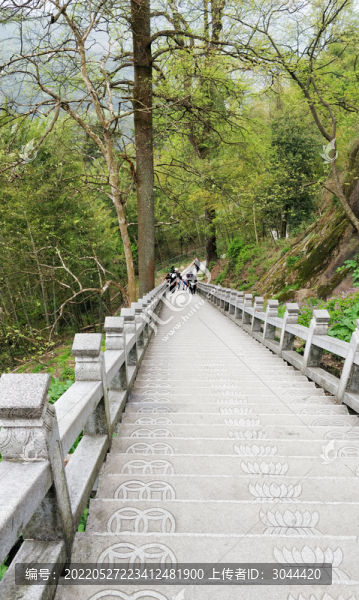 下山石頭階梯