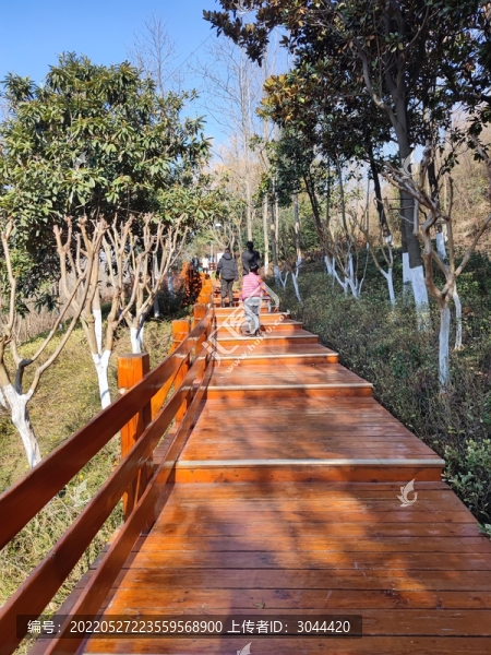 木棧道