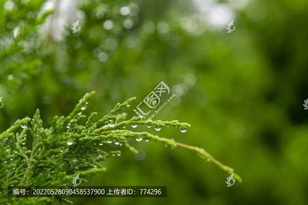 雨露滋潤(rùn)