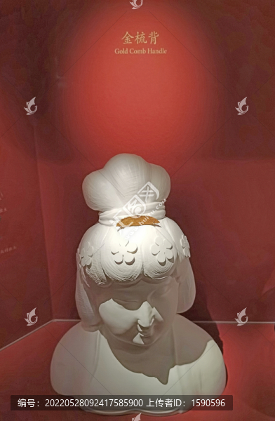 金梳背