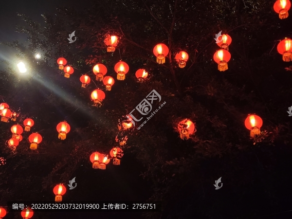 夜景燈籠