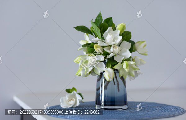 梔子花