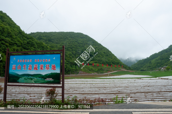 竹賢鄉(xiāng)石院村高山生態(tài)蔬菜基地