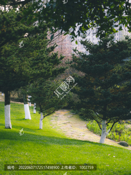 公園戶外景色草坪綠色空場景