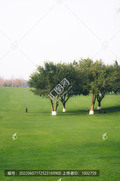 中央公園戶外景色草坪綠色