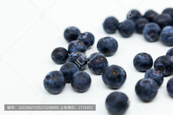 白色背景上的藍(lán)莓