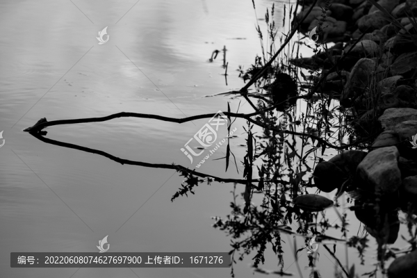 水面倒影