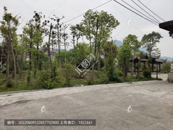 公園綠植