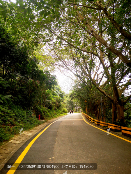 登山綠道
