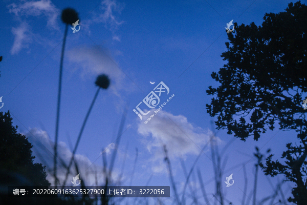 高原上夜晚的月亮