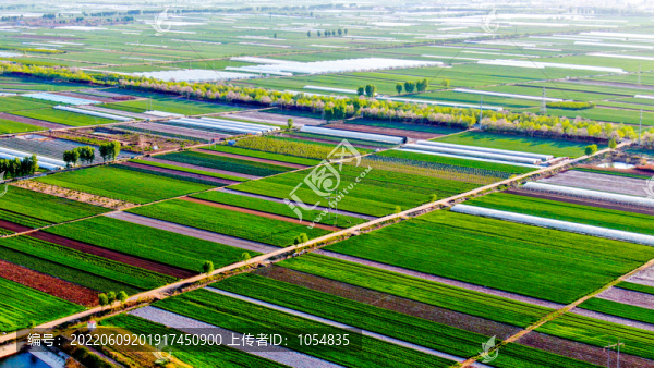 綠色農(nóng)田