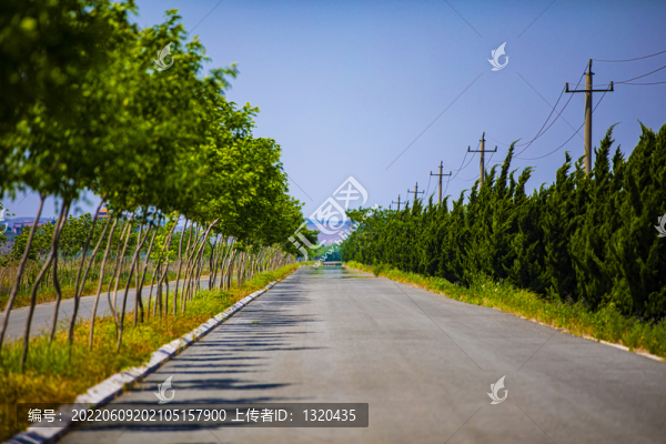 道路