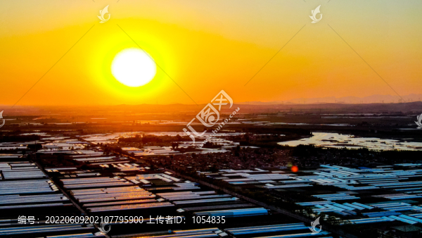 夕陽大棚