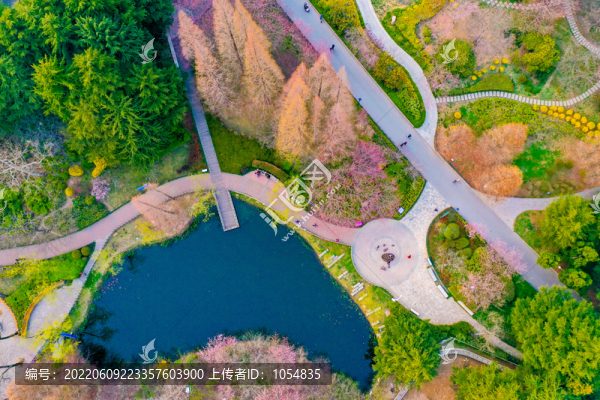 青島中山公園