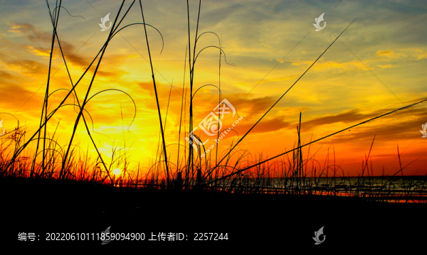 晚霞與夕陽