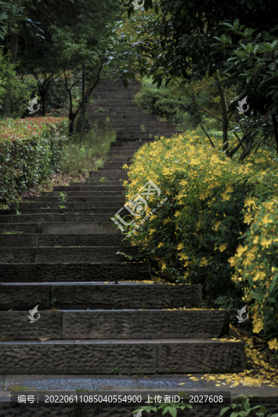 上虞龍山寧?kù)o的上山路