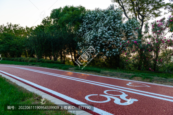 太湖邊的自行車騎行道