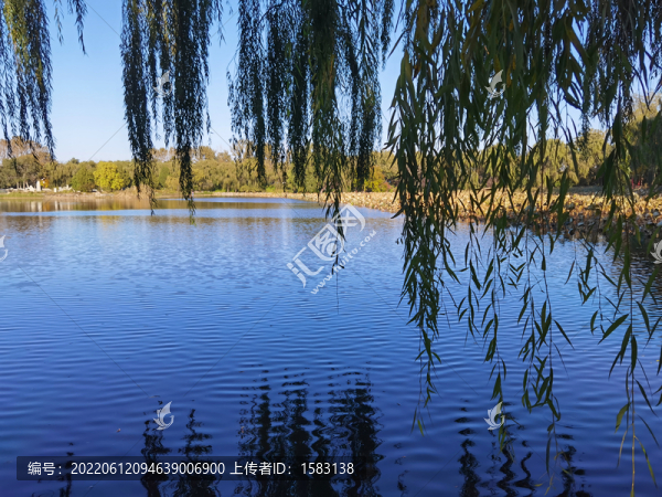 北京圓明園遺址公園湖景風光