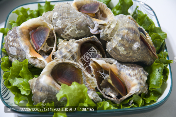 煮海螺