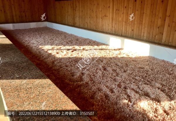 鹽浴