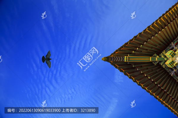故宮景色圖片