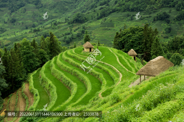 元陽梯田