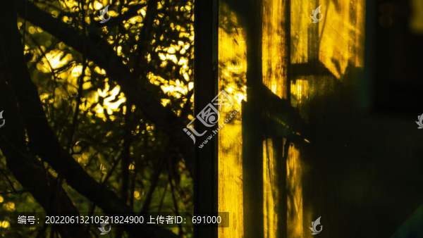 夕陽(yáng)照上樹影下的南窗