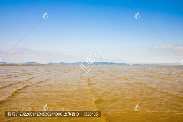 金色海灘
