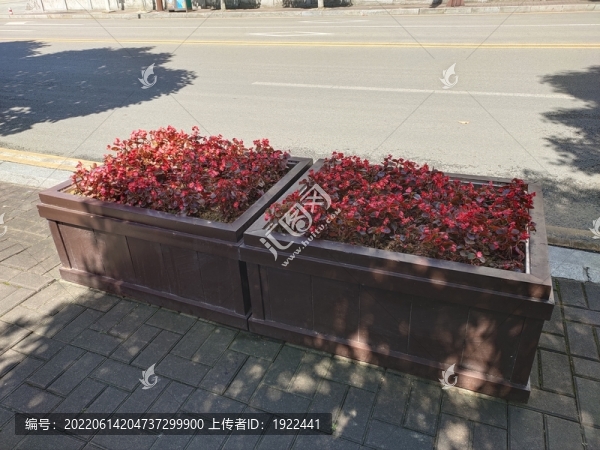 生態(tài)木花箱