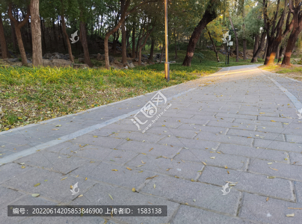 小路