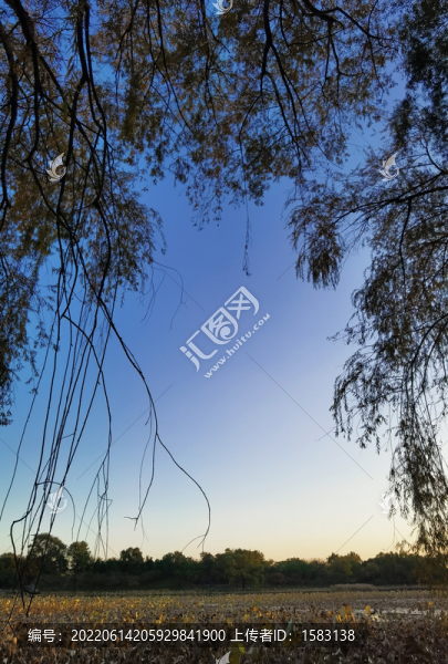 圓明園荷花池