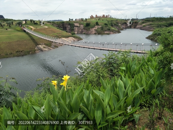 美人蕉吊橋
