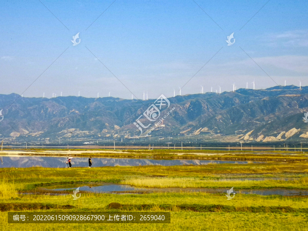 鹽湖濕地