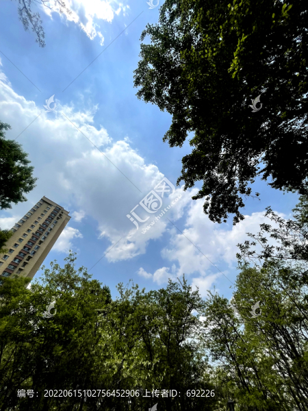 仰望天空