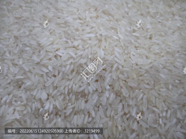 大米