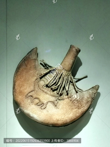 皮水囊