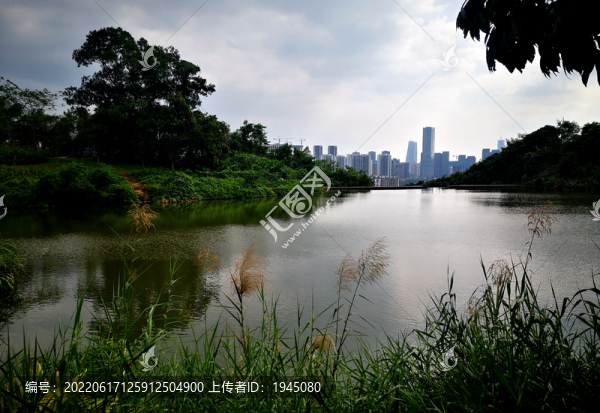 池塘自然景色