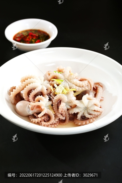 八爪魚