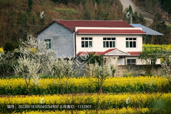 新農(nóng)家