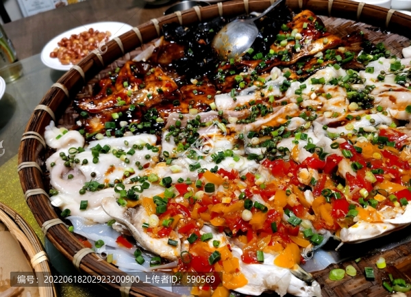 簸箕魚